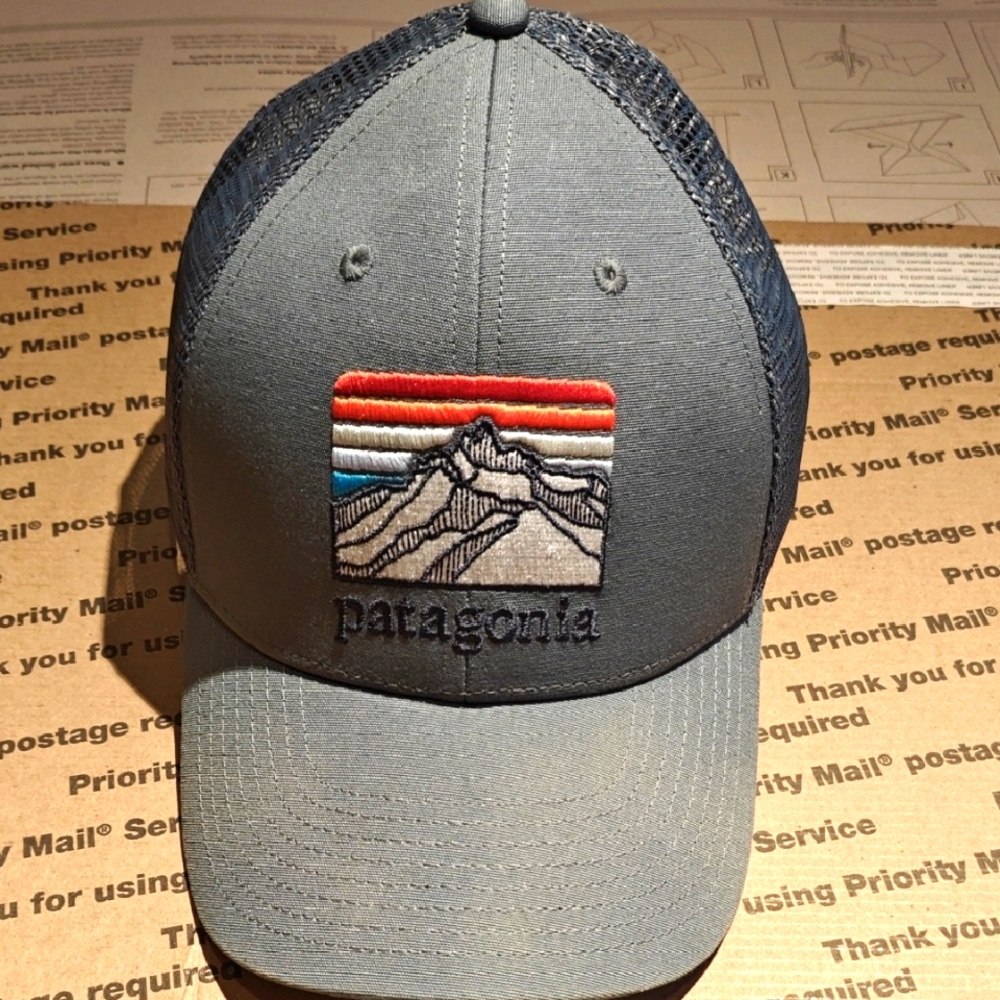 Patagonia Line Logo Ridge Pro Trucker Hat